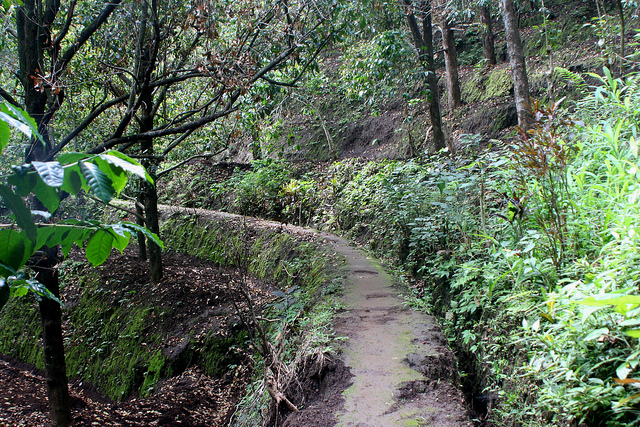 munduk-waterfall-path